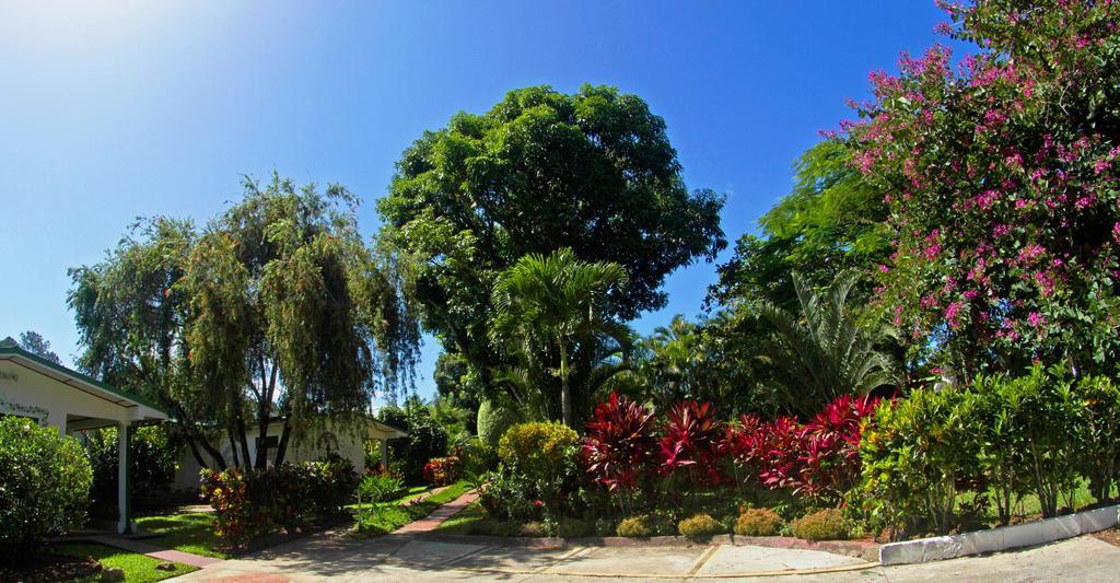 Hotel La Rosa De America Coyol Exterior photo