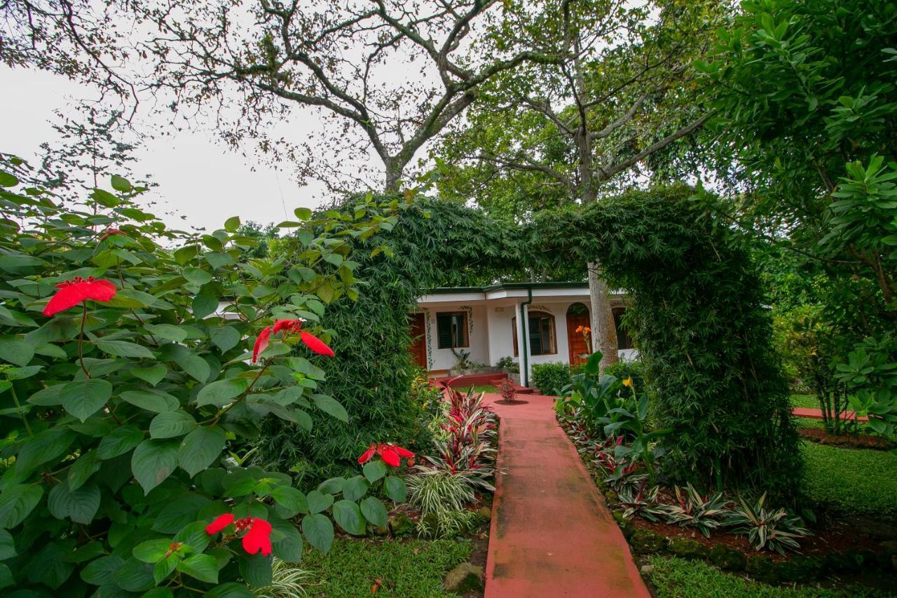Hotel La Rosa De America Coyol Exterior photo