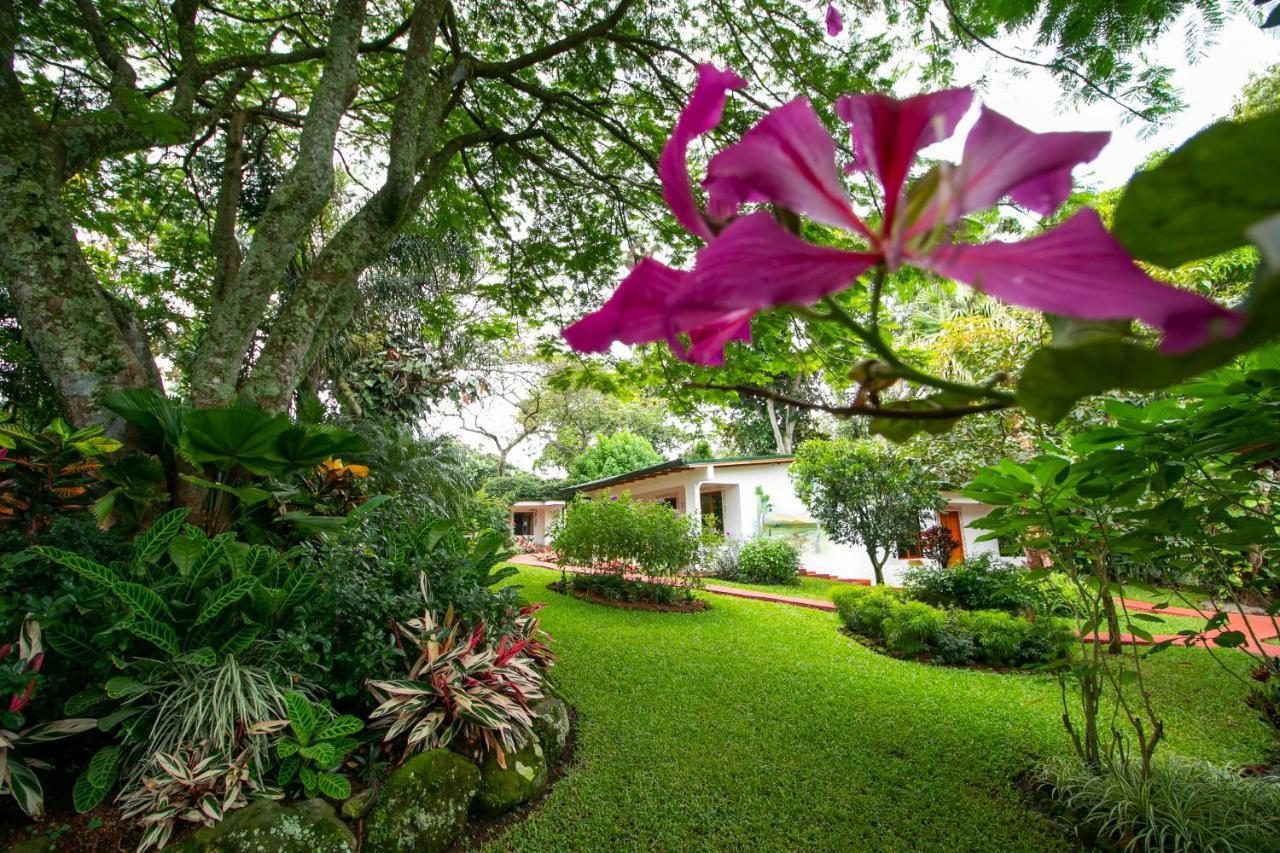 Hotel La Rosa De America Coyol Exterior photo