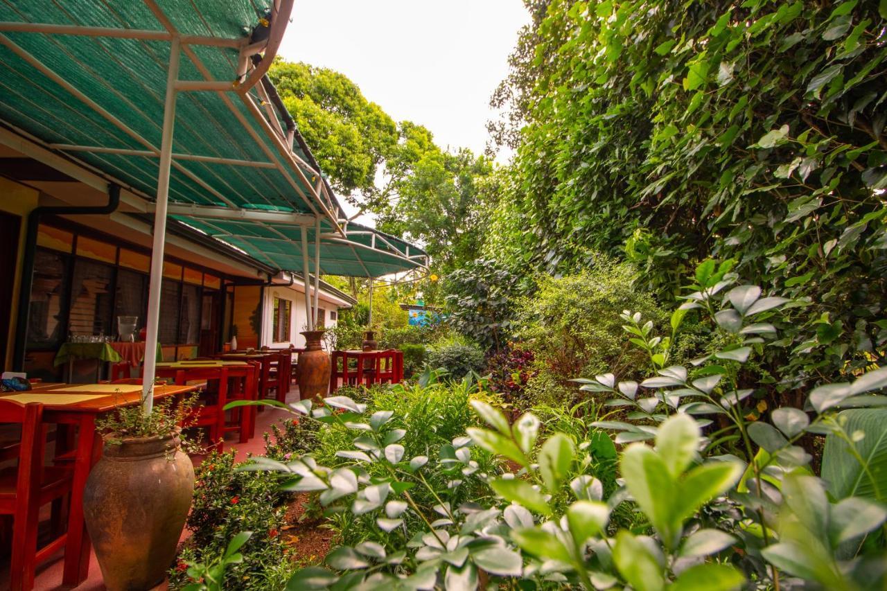 Hotel La Rosa De America Coyol Exterior photo